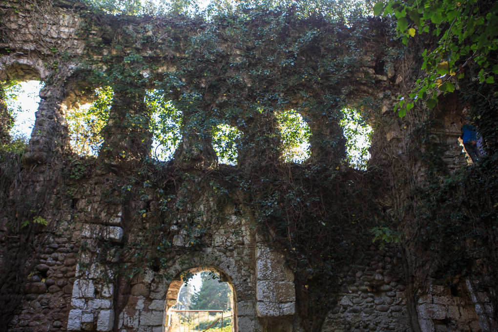 Miusera